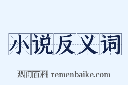 小说反义词是什么意思的图片